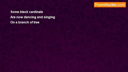 Asif Andalib - The black cardinals
