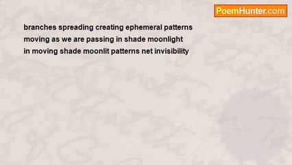 Terence G. Craddock - Moonlit Patterns Net Invisibility