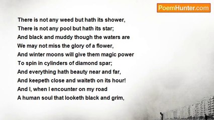 George MacDonald - The Lily of The Valley