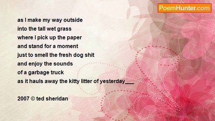 Ted Sheridan - In Boxers You Can Scratch Your Nuts