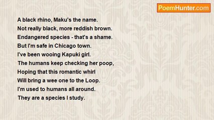 Ima Ryma - Maku - Lincoln Park Zoo