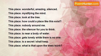 Stephen Townsend - The Silencer