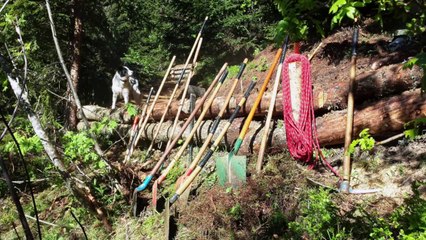 Shape and Building Edit of the Gets Airline 2014 ... Enjoy our flow ...