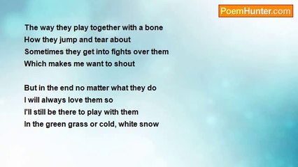 Jayce McCormick - My Two Labradors