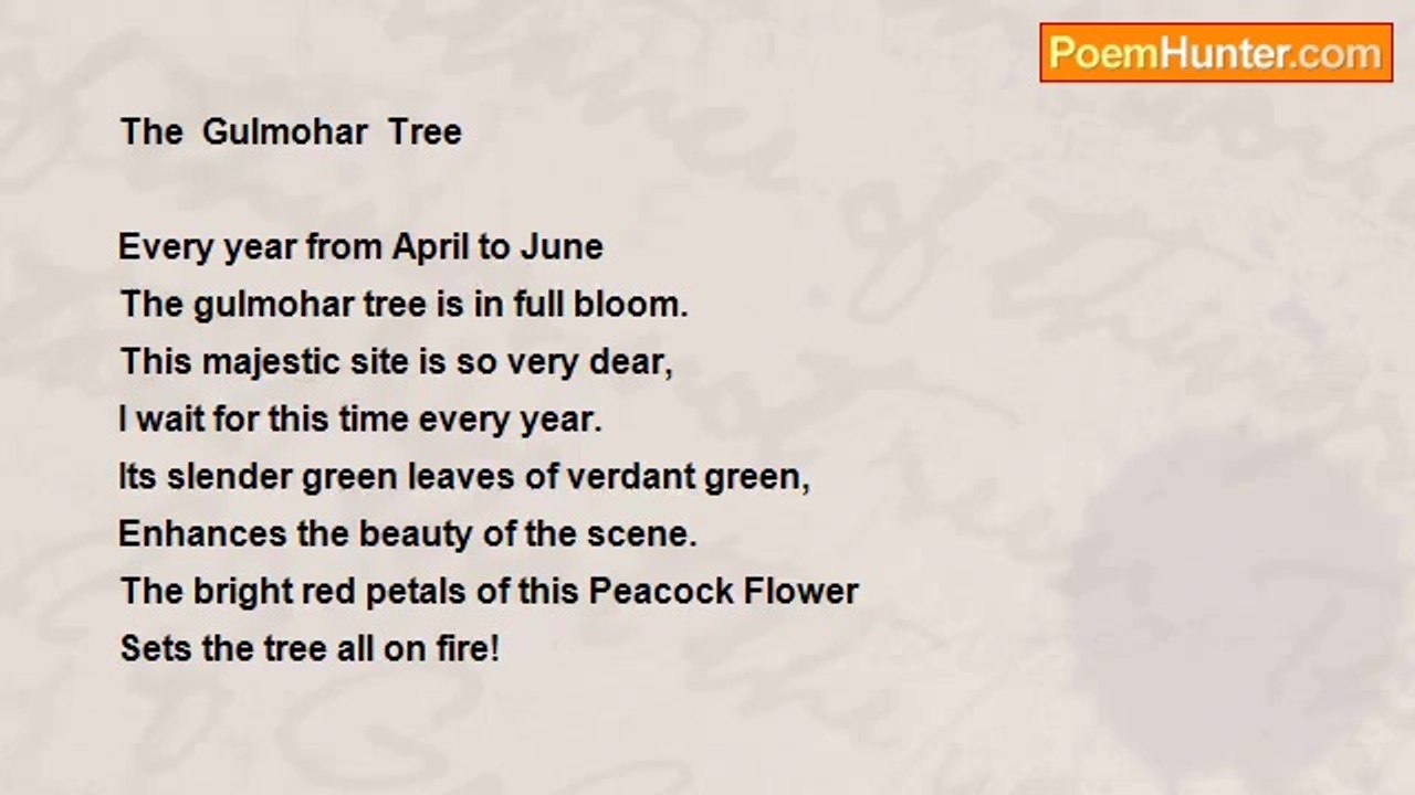 RAJ NANDY - The Gulmohar Tree