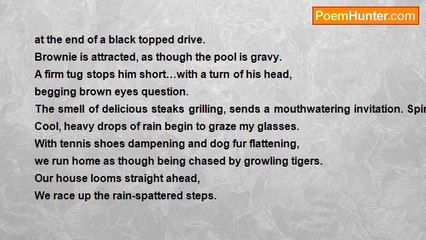 Theresa Ann Moore - Dog Walk