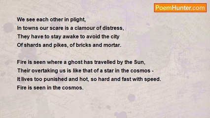 Naveed Akram - In Plight