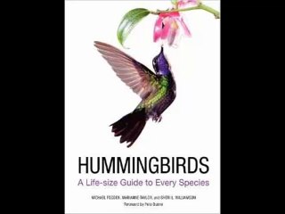 [FREE eBook] Hummingbirds: A Life-size Guide to Every Species by Michael Fogden
