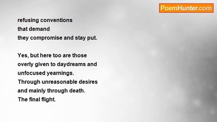 Alex Nodopaka - I have a Muse