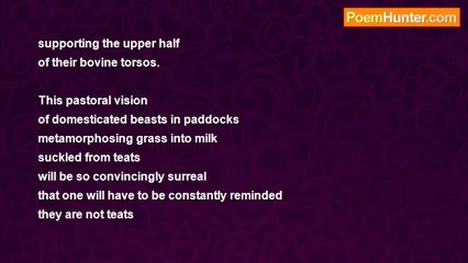 Alex Nodopaka - The Physique of an Intimate Painting