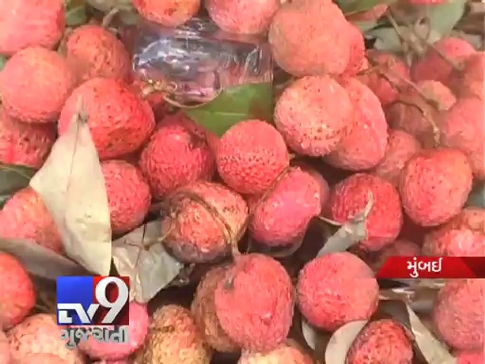 Fear of the ''Litchi Virus'' looms in Mumbaikars - Tv9 Gujarati