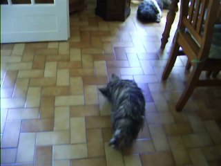 Jaudy et son canard"muet"