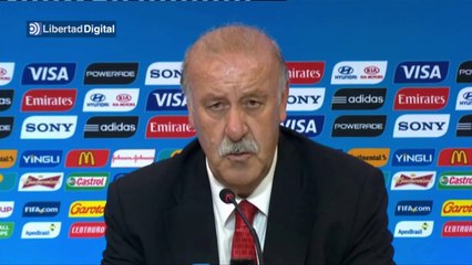 Del Bosque: "No hay que hundirse; los culpables somos todos"