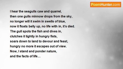 Shelley L Baxter Stanley - slowly day turns into night.