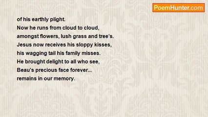 Shelley L Baxter Stanley - My dog Beau