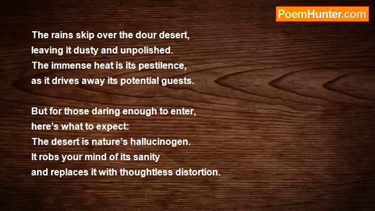 Michael Fischer - The Desert