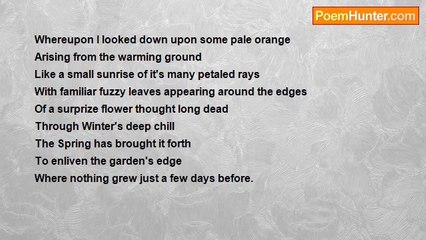 Heather Z. Hanna - A Surprise Flower