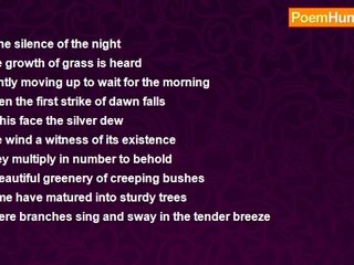 Little Star - In The Silence Of The Night