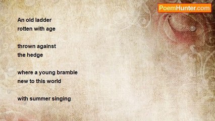 Dónall Dempsey - SUMMER SINGING IN ITS BLOOD(for Darlinda)