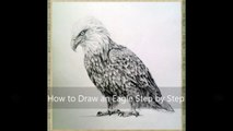 Learn How to draw an Eagle with step by step video tutorial and easy to follow instructions - Lesson 2 / Part 2