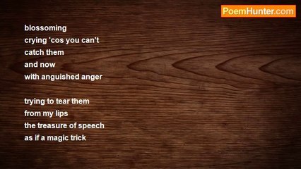 Dónall Dempsey - Telling Tilly Tales(for Lyn)