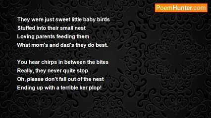 Marilyn Lott - Little Birds