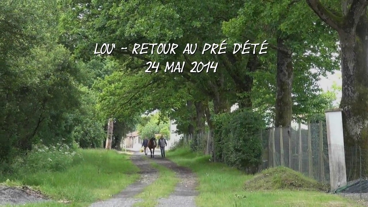 Lou' - Retour au pré d'été - 24 Mai 2014