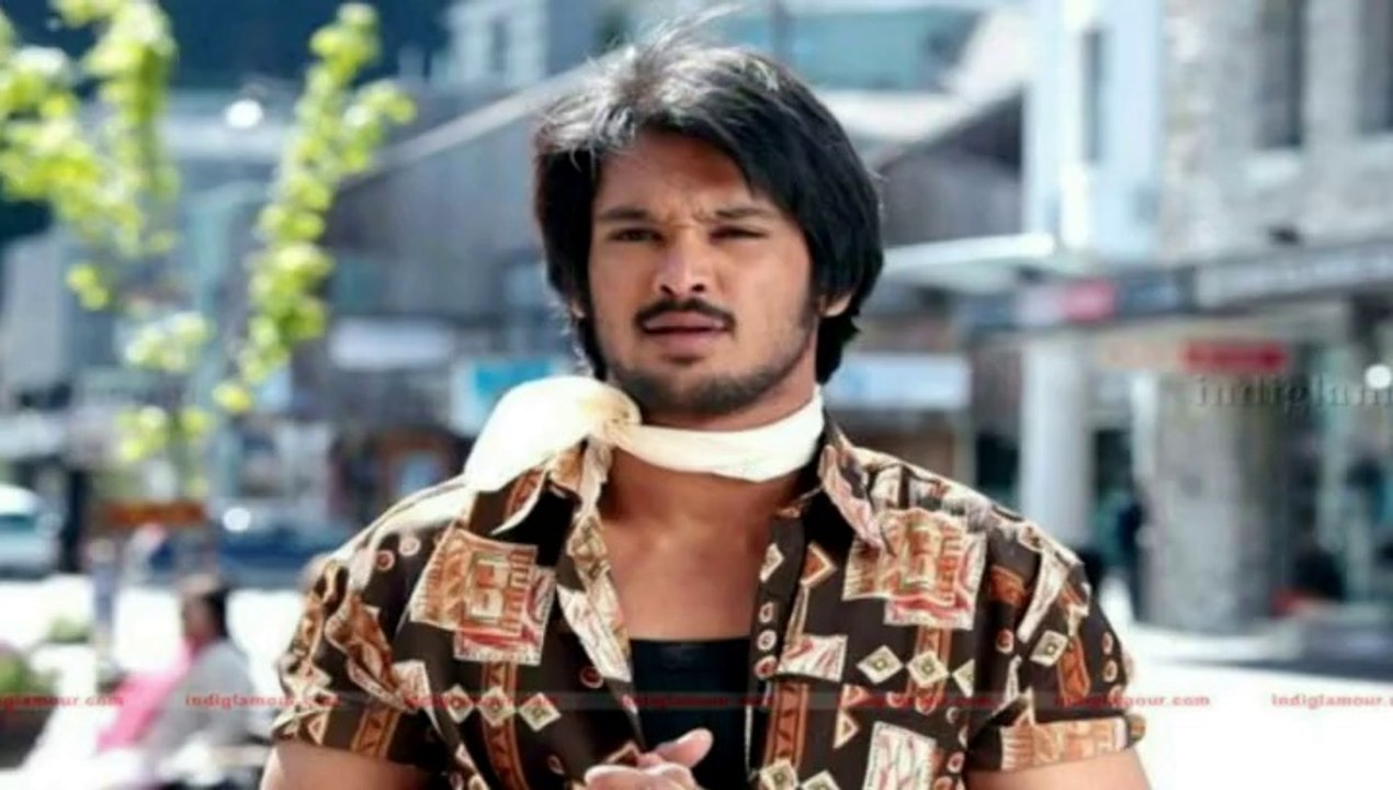 Nakul Indian Actor