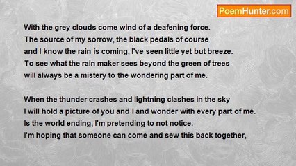 Moth Harris - Black Rose Pedals Blowing Through The Air