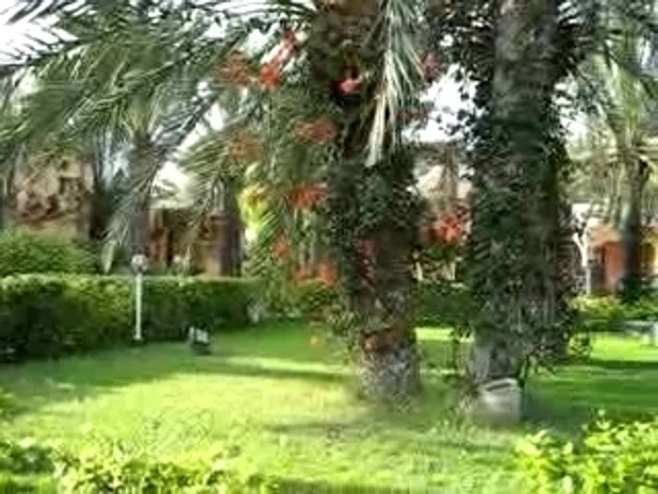Tunisiejanvier2OO7 259