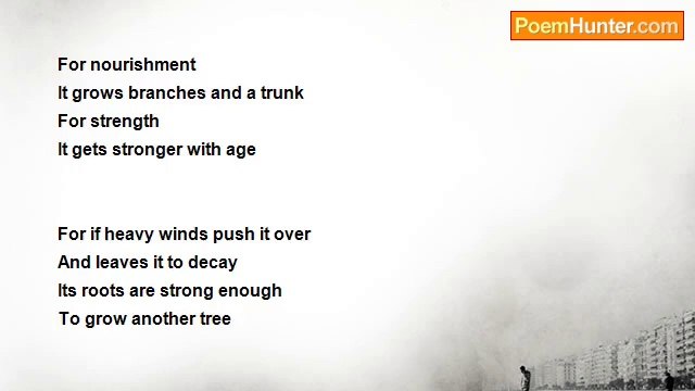 sarah stites - The Tree Of Love