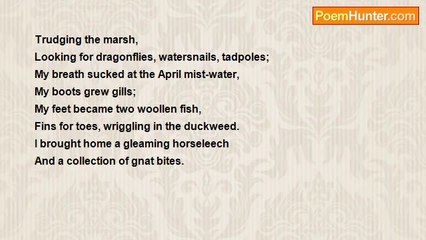 Tan Morgan - Amateur Naturalist