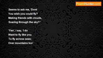 Gaurav Mittal - I Shall Fly