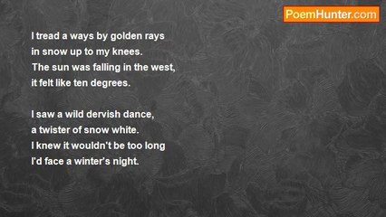 t.l. finch - Snow Bound