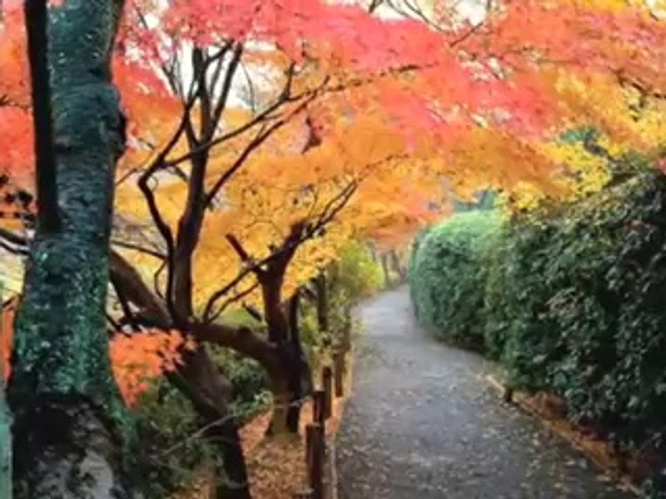 Okey Oyna , OkeyAzram Okey oyna , OkeyAzram.com Genel Salon