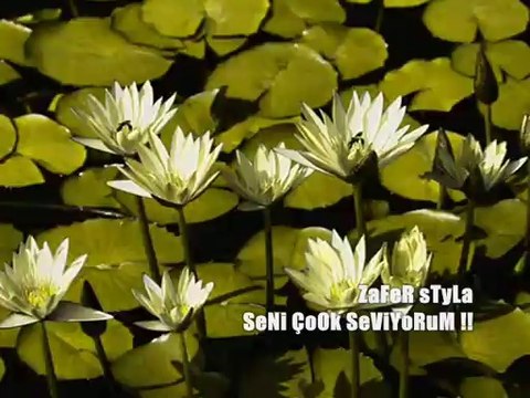 SENİ ÇOK SEVİYORUM (zafer styla )