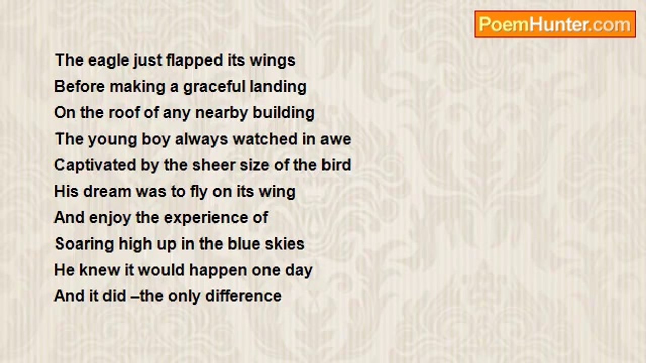 Sandra Martyres - An Eagle's Wing
