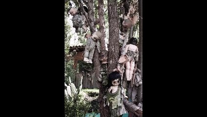 Mystérieuse île aux poupées fantômes