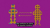 ¿Te Has Preguntado Qué Es Lo Que Te Hace Sentir Atraído Sexualmente A Ciertas Personas?