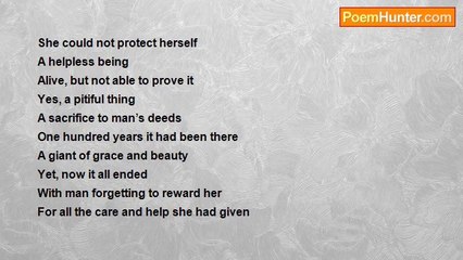 Reshma Dream Is Never A Crime................ - The End.......................