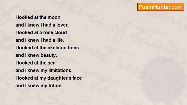 Janice Windle - (Journey Inwards Collection) .... Looking