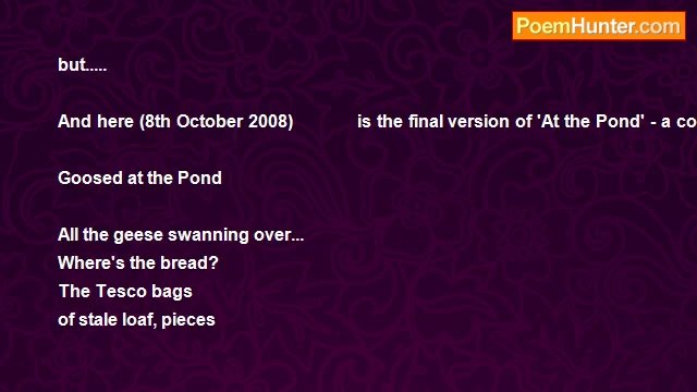 Janice Windle - (Growing Pains) 5.At the Pond