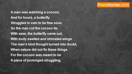 Ima Ryma - In the Nature of