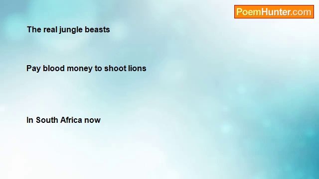 Ken e Hall - Haiku...HUMAN JUNGLE BEASTS