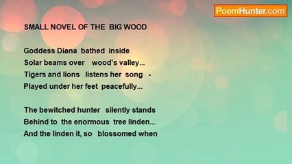 Tsira Gogeshvili - * * *   SMALL NOVEL OF THE  BIG WOOD