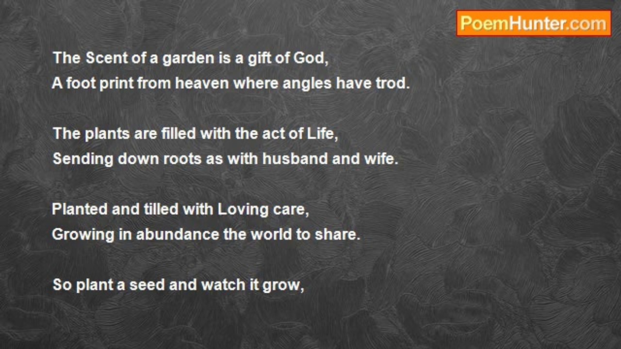 Keith Foley - A Garden