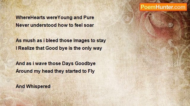 Sarah Ibrahim - Photographs