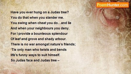 Margaret Kollmer - The Judas Tree by Rosemary D.