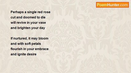 Michael Pruchnicki - What Flowers to Send