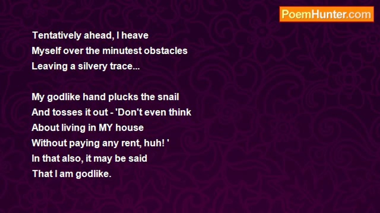 Paul Archer - Snail's Pace
